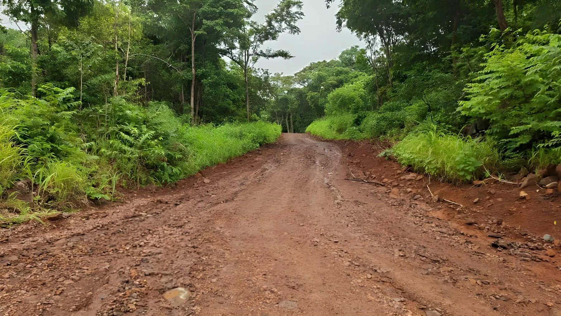 Camino de acceso a la operación